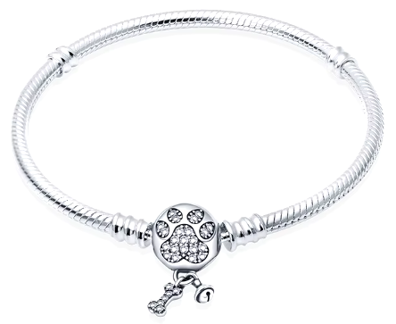 Elegant Silver Charm Bracelet